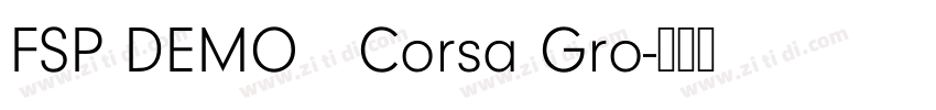 FSP DEMO   Corsa Gro字体转换